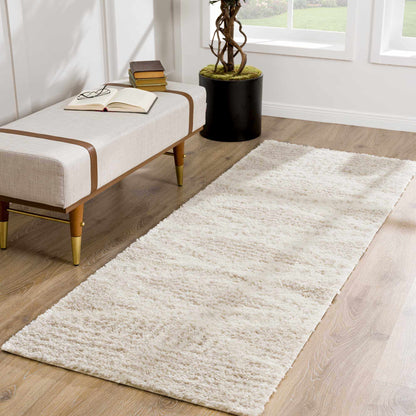 Beige shag rug photographed flat against a plain background